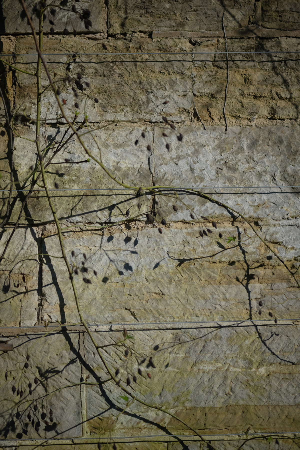 _JJM0457